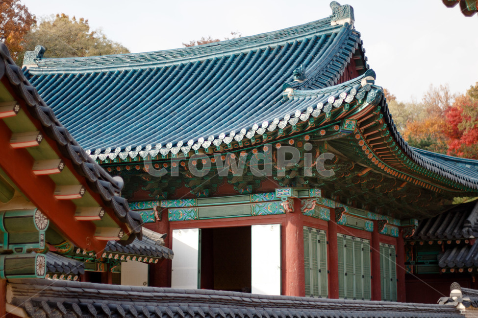 architecture,건축물,building,건물,한옥,기와,한국,korea,전통,창경궁