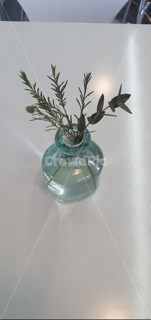 jar,항아리,vase,병장식,pottery,도기류,plant,식물,pottedplant,화분,ornament,장식,flower,flowerarrangement,꽃꽂이,art,미술,blossom,꽃,ikebana,이케바나