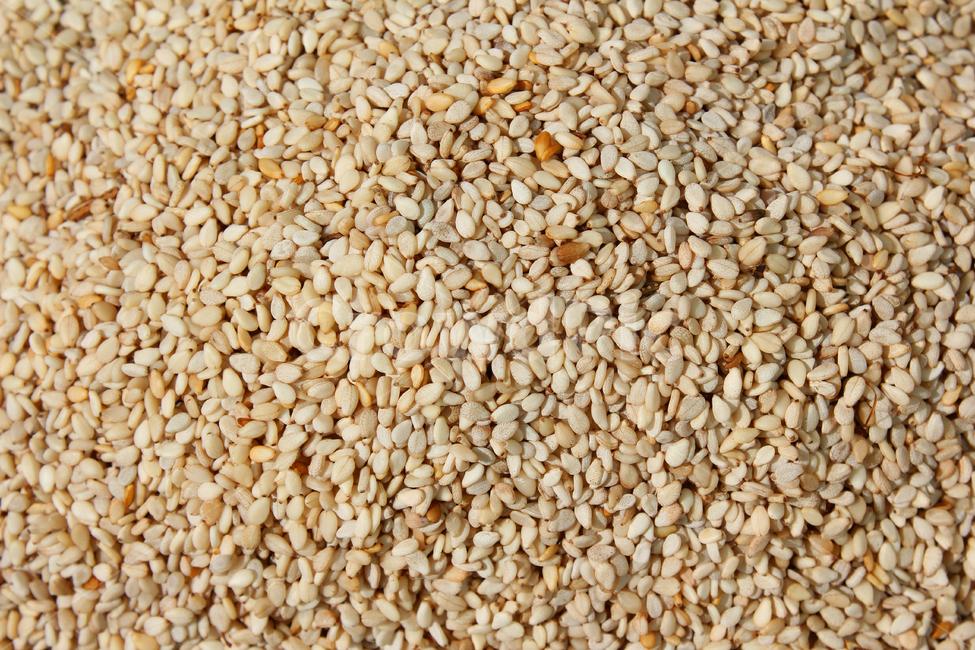 brown,closeup,dry,dummy,food,gold,grain,macro,meal,natural,nature,organic,plant,seed,seeds,sesame,sesameseed,sesameseeds,top,topangle,topview,yellow,깨,참깨,곡식,곡류,음식,음식재료,식재료,식물,씨앗,씨,갈색,브라운,말린,말리는,건조,자연,클로즈업,탑앵글,탑뷰,깨소금,농작물,농촌,농사,음식,식재료,요리,food,cook,meal,dishes,food reserves,곡류,곡식,cereals