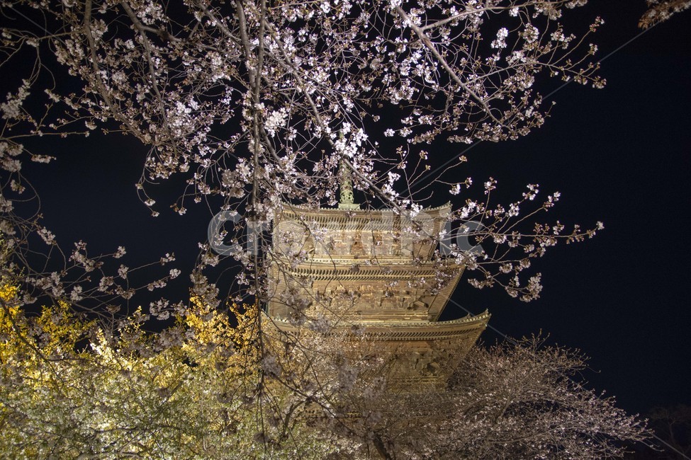 도지,일본,야경,풍경,japan,temple,탑,건축물,tower,architecture