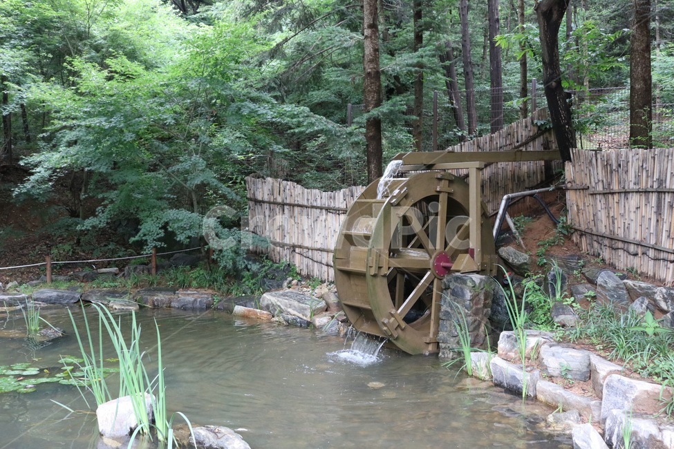 물레방아,물,자연,식물,나무,초록,water,nature,plants,tree,green,mizu,shokubutsu,ki,midori,인천대공원,자연,풍경,nature,landscape