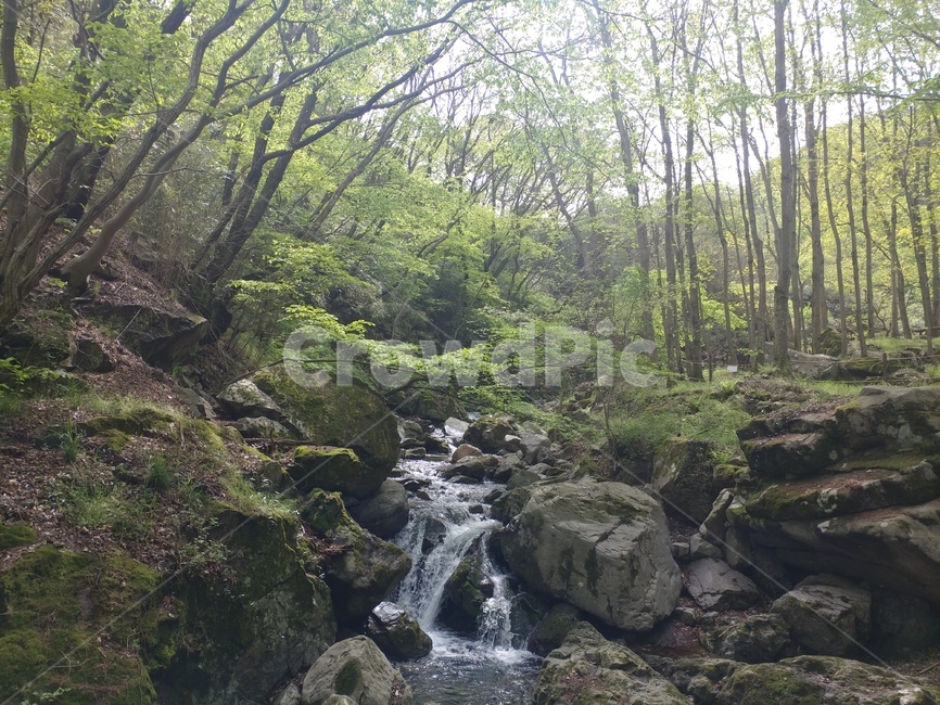등산,계곡,풍경,물,무등산,자연,풍경,nature,landscape,water,outdoors,옥외,creek,작은 만,stream,흐름