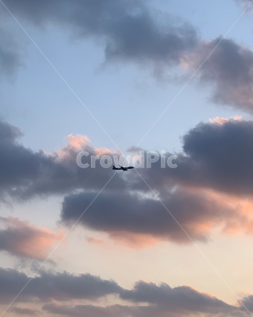 하늘,비행기,구름,노을,airplane,sky,sunset,nature,자연,flying,vehicle