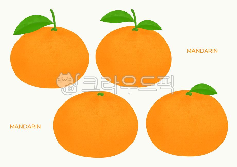 감귤,귤,밀감,감귤류,열매,과일,tangerine,fruit