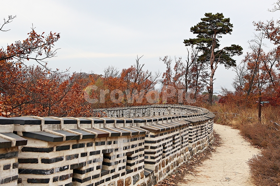 남한산성,성,성곽,단풍,낙엽,길,둘레길,숲,숲길,담,돌담,가을,자연,풍경,벽,울긋불긋,산성,식물,가을,계절,fall,autumn,season,한국전통,한국문화,korean traditional,korean culture,tree,나무,plant