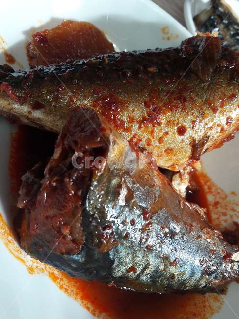 고등어조림,food,fish,sidedish,음식,요리,반찬,조림,한식,koreanfood,homecooking,homemademeal,braisedmackerel,godeungeojorim,음식,식재료,요리,food,cook,meal,dishes,food reserves