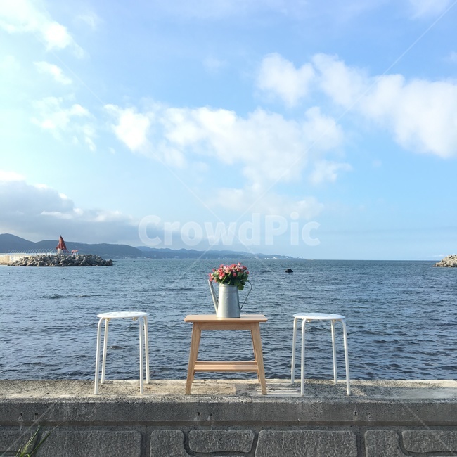 바다,해수욕장,포토존,푸른,하늘,감성,감성사진,시원한,자연,풍경,nature,landscape,한국자연풍경,한국자연경관,korea nature landscape,꽃,flower