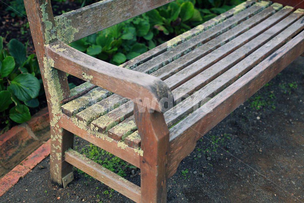 의자,벤치,빈티지,chair,bench,이끼,초록,furniture,가구
