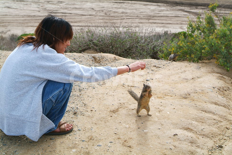 squirrel,다람쥐,땅다람쥐,신기,재미,신남,fun,cuteanimals,with,bro,동물,animal,포유류,mammal,사람,인물,인간,human,person,남성,남자,man,male