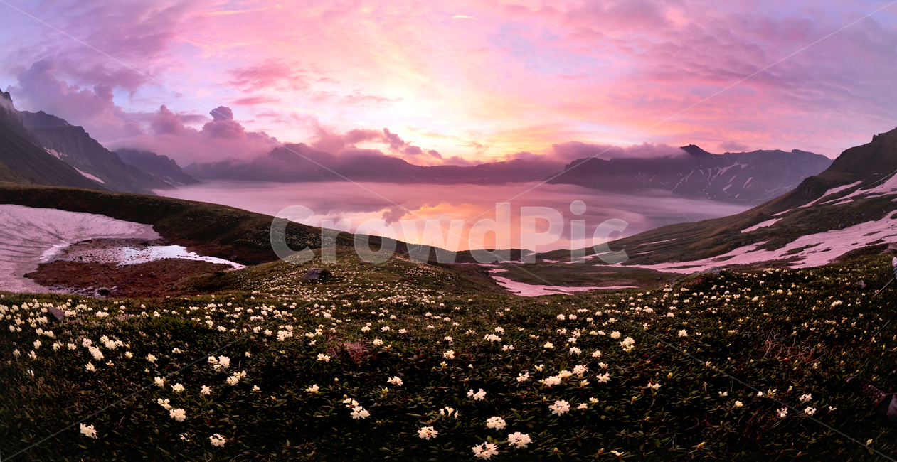 outdoors,옥외,landscape,nature,자연,scenery,백두산,천지,백록담,백두산여명,아침,일출,야생화,백두산야생화,만개,꽃,경치,경관,풍경,비경,자연,풍경,nature,landscape