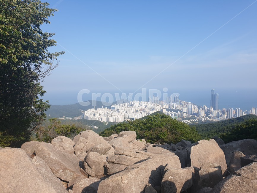 해운대,장산,정상,부산,등산