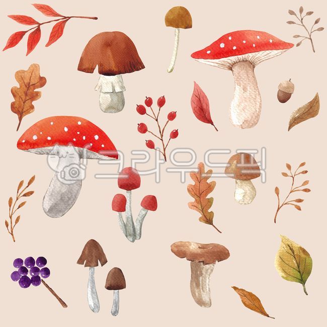 수채화,배경,백그라운드,수작업,일러스트,일러스트레이션,드로잉,그림,손그림,가을,계절,시즌,자연,식물,보타니컬,단풍,낙엽,단풍잎,패턴,갈색,밤,열매,나뭇가지,빨간색,도토리,노란색,illustration,background,drawing,painting,watercolor,autumn,fall,season,leaf,plant,botanical,leaves,maple,pattern,brown,chestnut,fruit,branch,red,acorn,yellow