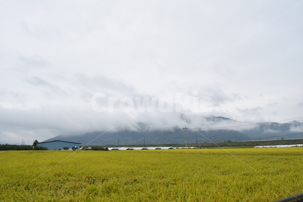 들판,비구름,시골,자연,흐림,들,시골,마을,풍경,landscape,country,rural,town