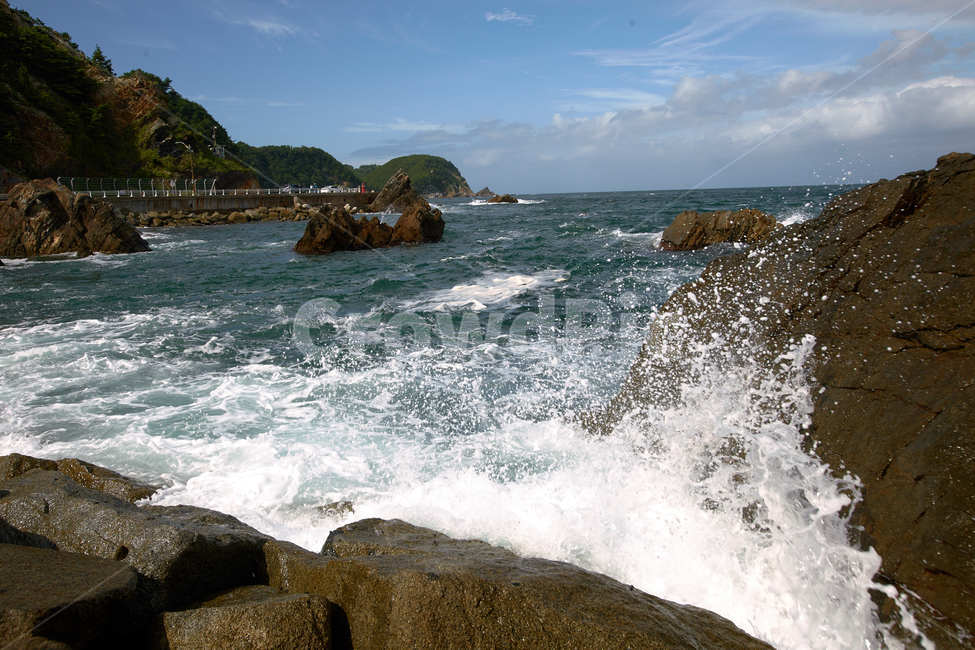 강원도,파도,바다,헌화로,드라이브,자연,풍경,nature,landscape,한국자연풍경,한국자연경관,korea nature landscape,outdoors,옥외,water,물,sea,ocean,대양,promontory,곶
