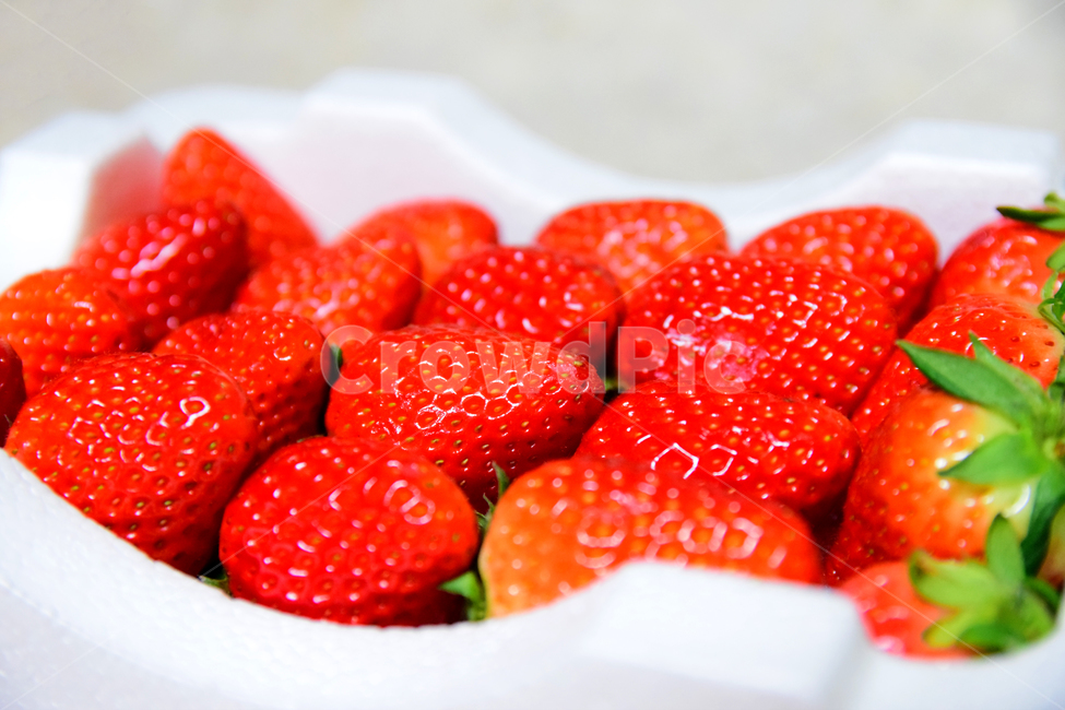 딸기,후식,음식,과일,식재료,열매,빨강색,dessert,fruits,strawberry,음식,식재료,요리,food,cook,meal,dishes,food reserves,과일,열매,fruit,채소,야채,vegetables