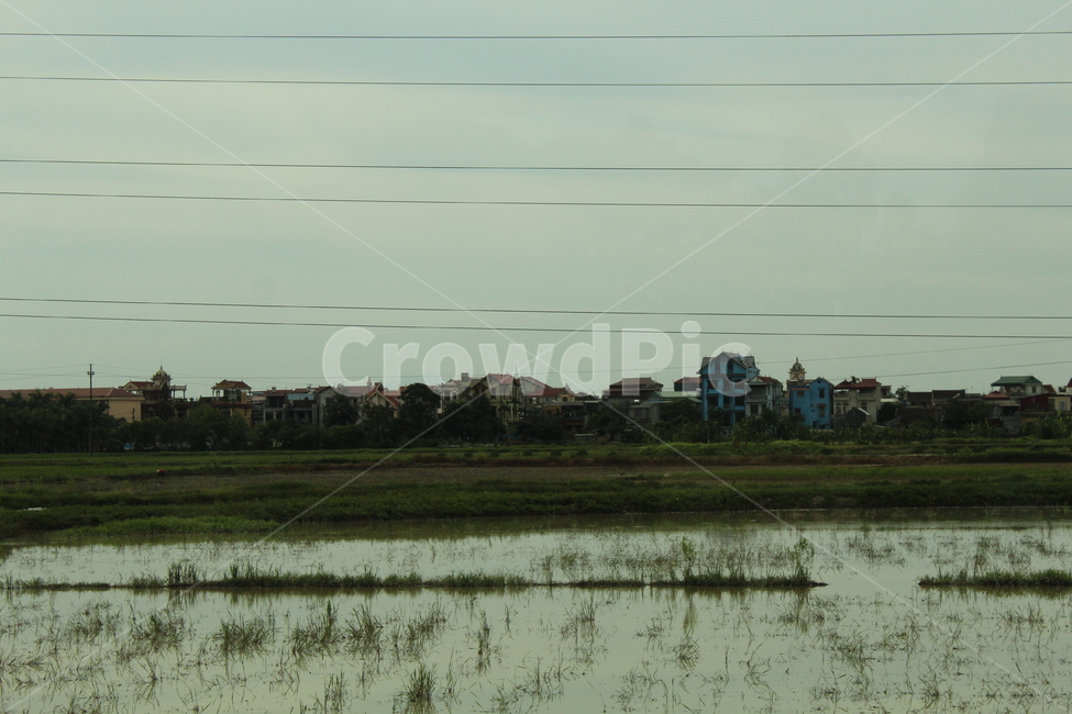 land,땅,nature,자연,논,농업,농사,agriculture,farming,farming industry