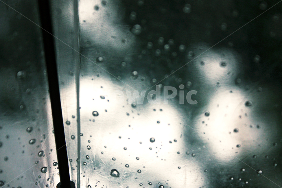 droplet,rain,작은물방울,물방울,bubble,거품,우산,자연,umbrella,물맺힘,장마,비오는날