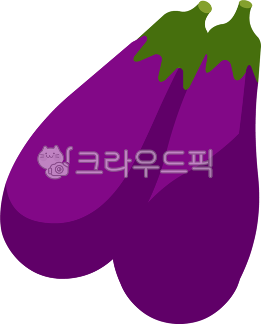 야채,가지,채소,보라색,food,음식