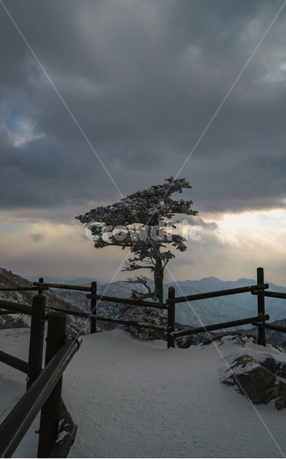 덕유산,설경,눈산,풍경,구름,나무,mountain,landscape,snow,겨울,계절,winter,season,자연,풍경,nature,landscape,한국자연풍경,한국자연경관,korea nature landscape,handrail,난간,banister,outdoors,옥외