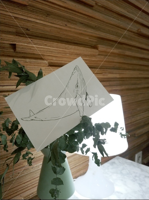 고래,일러스트,카페,분위기,그림,고래그림,coffee,illust,art,cofe
