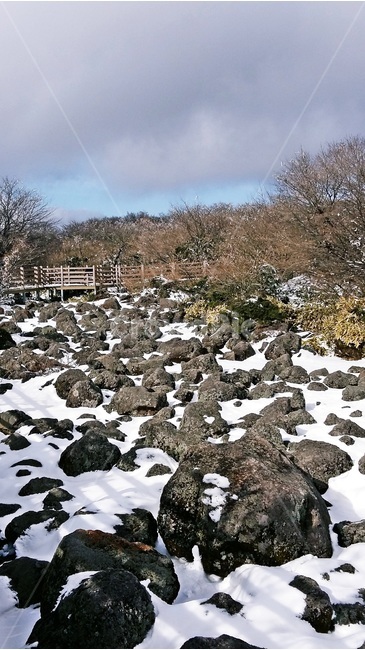 제주도,1100고지,한라산,휴게소,산책로,눈,겨울,겨울,계절,winter,season,자연,풍경,nature,landscape,한국자연풍경,한국자연경관,korea nature landscape,제주도,jeju,jeju island,outdoors,옥외,rubble,파편