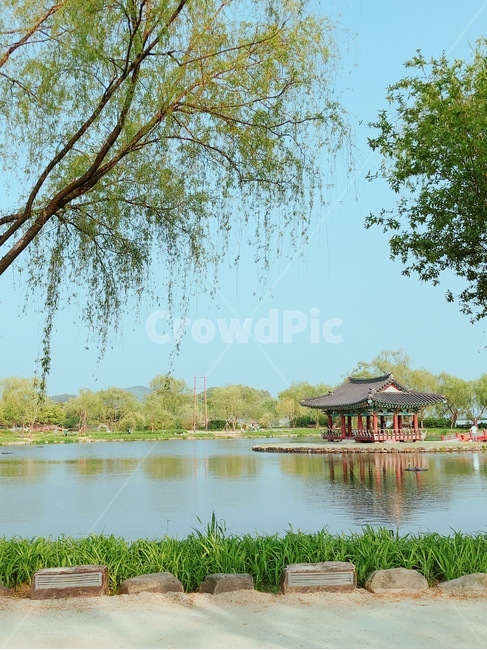 부여,궁남지,연못,공원,봄,자연,풍경,nature,landscape,한국자연풍경,한국자연경관,korea nature landscape,한국전통,한국문화,korean traditional,korean culture,랜드마크,landmark,tourist attraction,한국랜드마크,한국관광지,한국명소,korea landmark,korea tourist attraction,building,건물