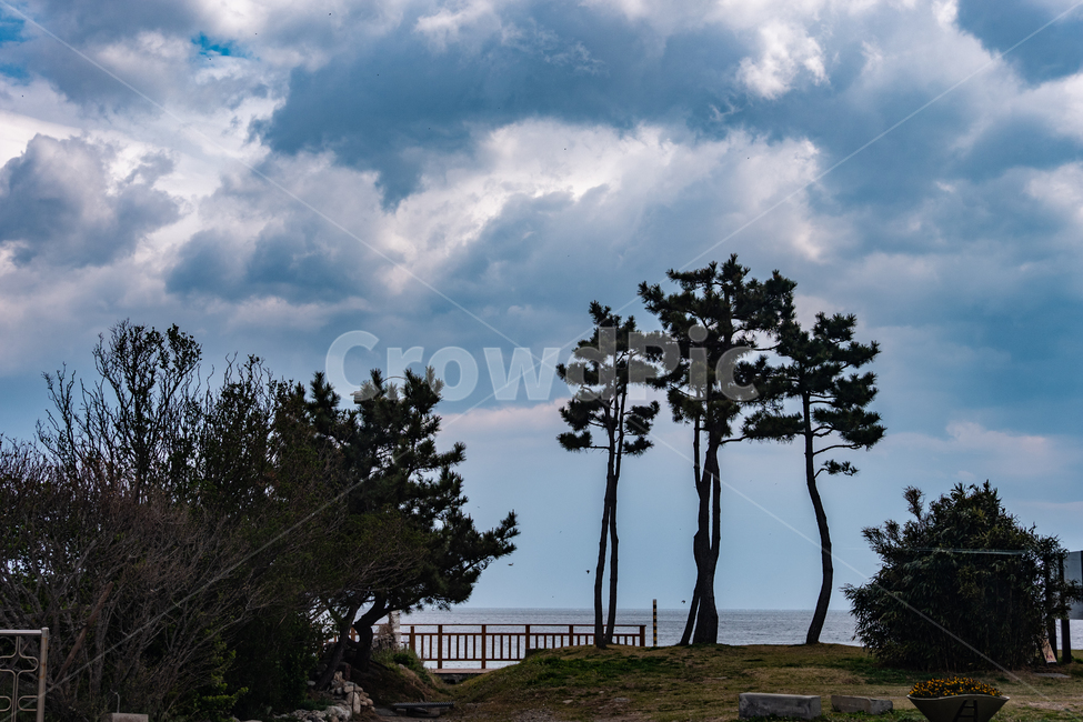 바다,구름,강원도,속초,풍경,그림자,나무,하늘,편안한,자연,풍경,nature,landscape,tree,plant,식물,outdoors,옥외