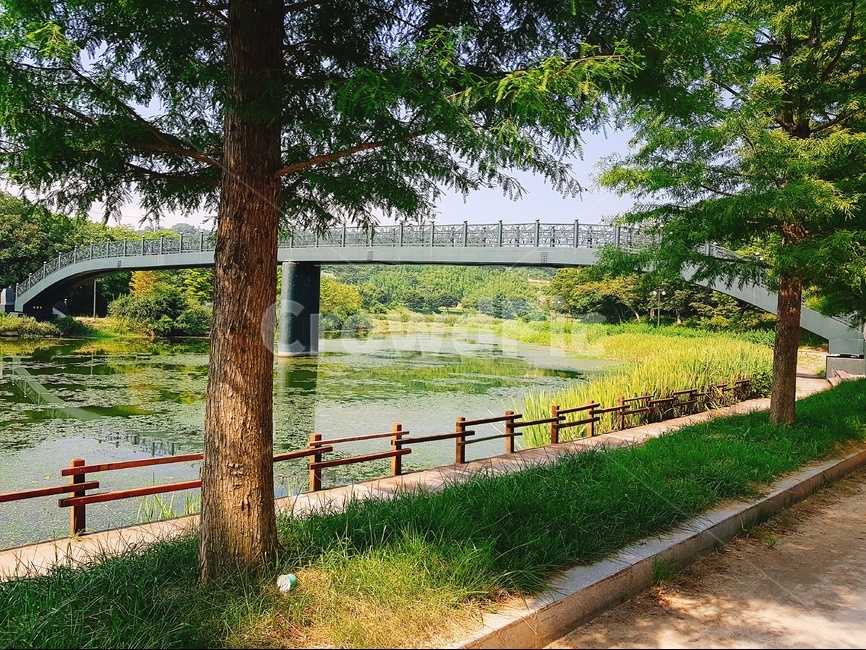 길,다리,맑음,여름,바람,자연,풍경,nature,landscape,tree,나무,plant,식물