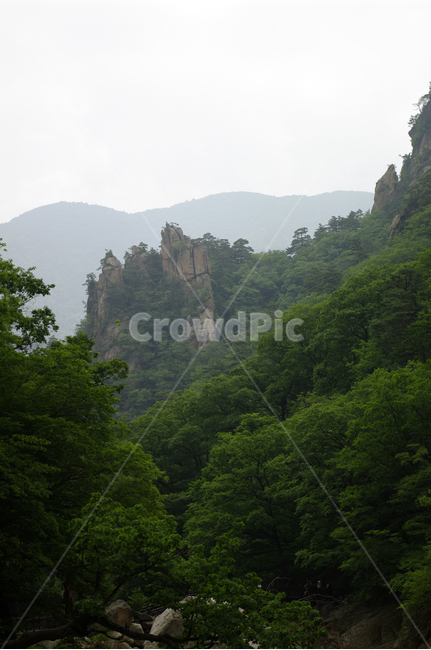 산,바위,암석,풍경,나무,설악산,자연,풍경,nature,landscape,outdoors,옥외