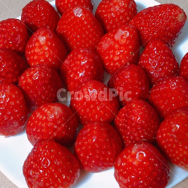 strawberry,딸기,식물,food,음식,과일,fruit