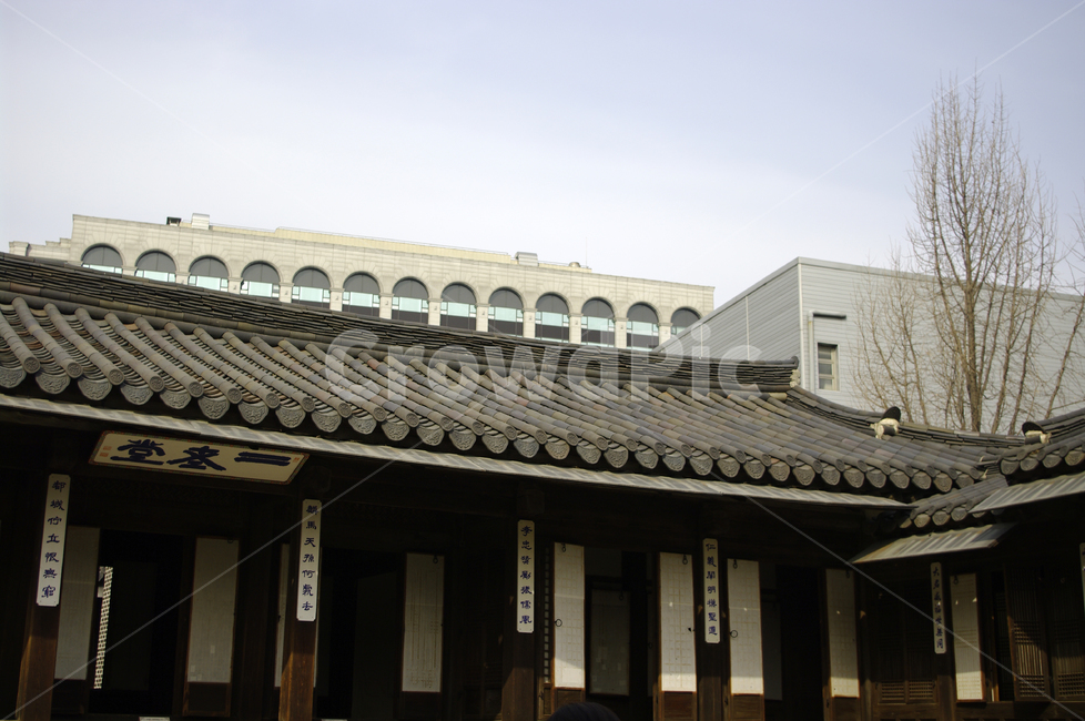 전통,한옥,tradition,지붕,roof,기와,한국전통,한국문화,korean traditional,korean culture