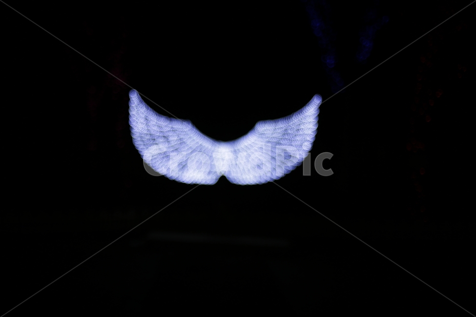 보케,야경,환상,겨울,예술,날개,아트,야경,밤,풍경,nightscape,night,landscape,nature,자연