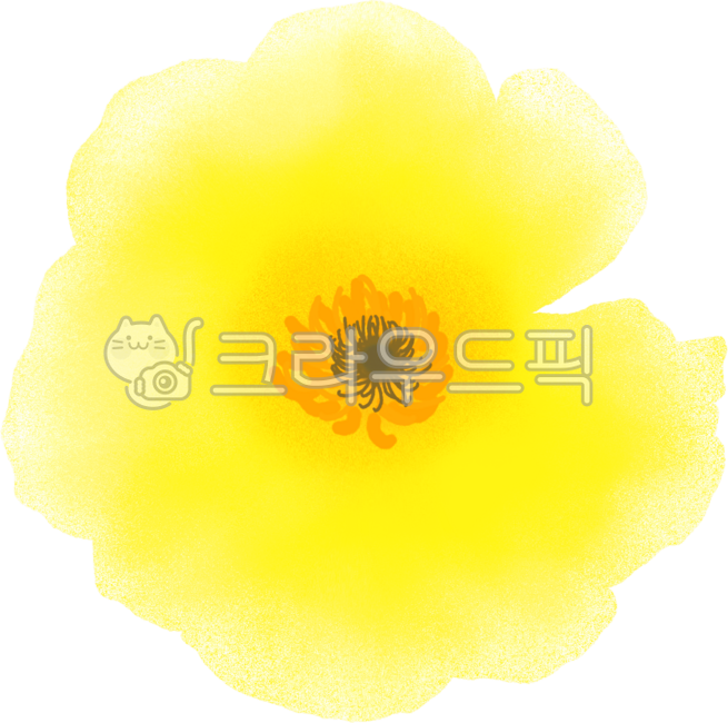 양귀비,양귀비꽃,노랑양귀비,양귀비축제,양귀비행사,양귀비꽃말,격려,행복,꽃양귀비,개양귀비,노란색,노랑꽃,꽃일러스트,꽃손그림,수채꽃,수채양귀비