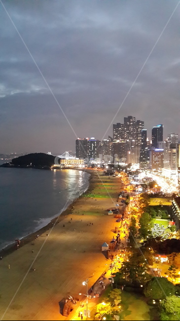 팔레드시즈,해수욕장,해운대,부산호텔,야경
