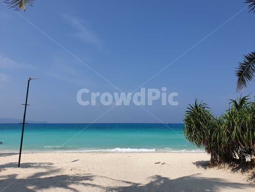 식물,tree,휴가,바다,모래사장,sea,ocean,해변,바다,beach,sea