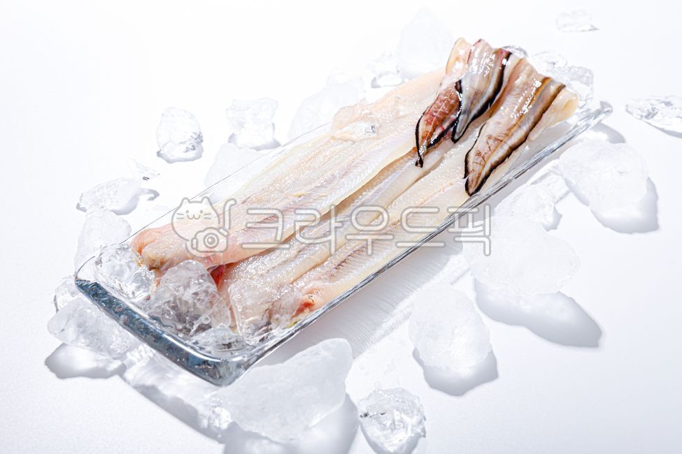 장어,그릇,원물,바다장어,민물장어,신선,수산물
