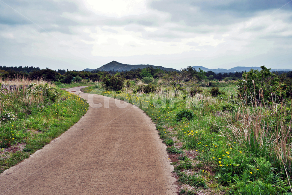 갑마장길,제주도,표선면,가시리,트레일,탐방로,오름,자연,풍경,nature,landscape