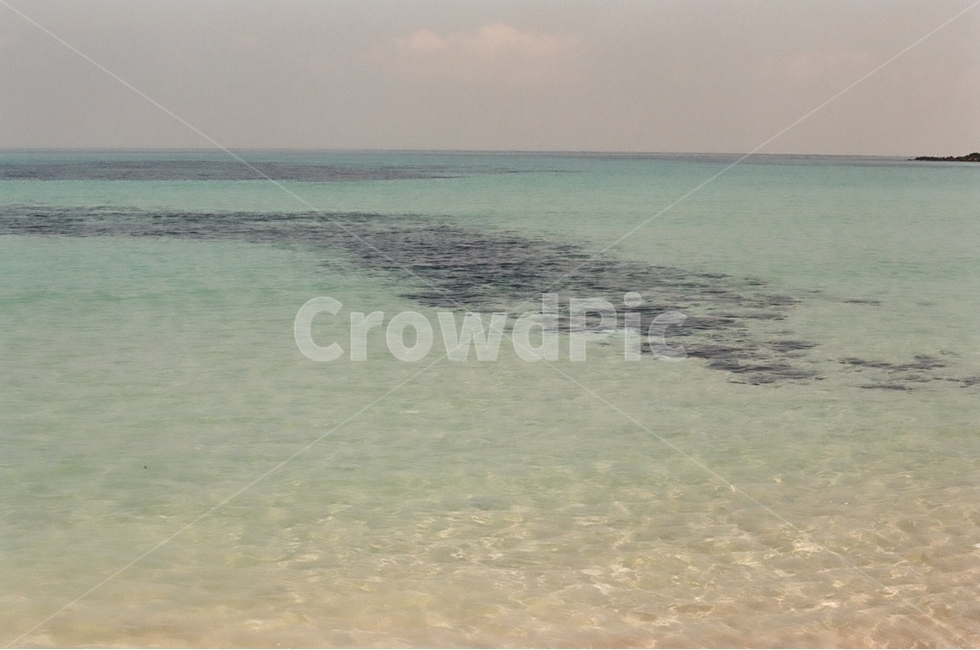 제주도,월정리,해변,바다,감성,필름사진,자연,풍경,nature,landscape,water,물,shoreline,해안선,outdoors,옥외,sea,ocean,대양