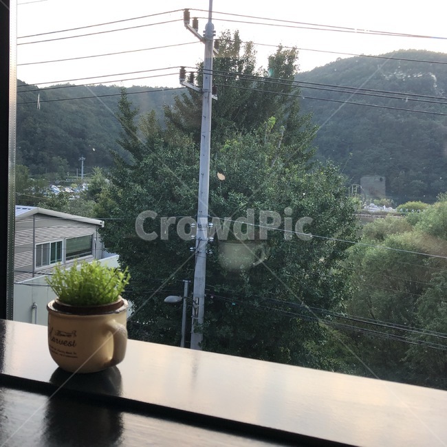 화분,창문,배경,노을,풍경