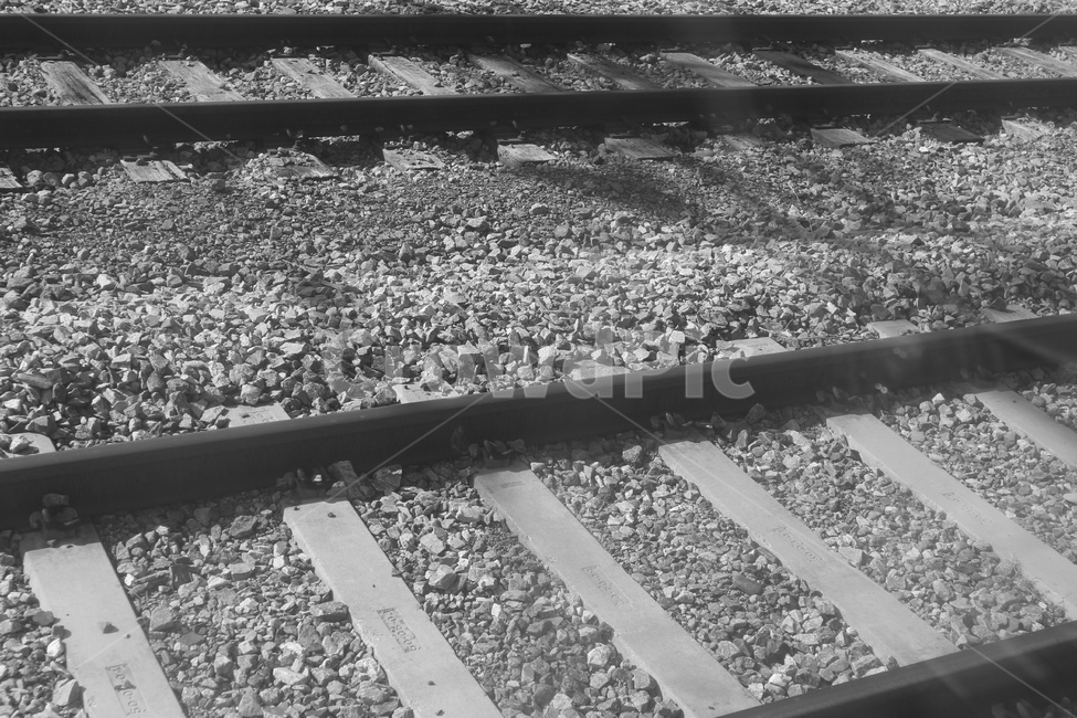 기찻길,모노톤,흑백,railroad,기차,흑백,모노톤,monochrome,black and white,교통,교통수단,traffic,transportation