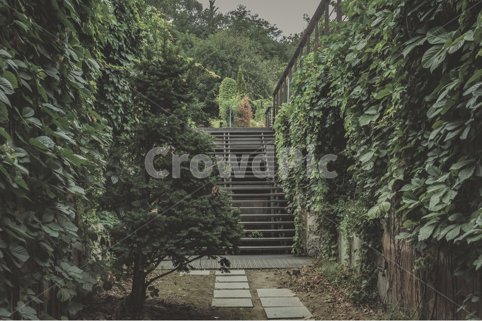 서울,서서울공원,공원,자연,나무,풀,계단,여름,감성,휴식,산책로,seoul,park,nature,tree,wood,plants,stairs,summer,beautiful,walk,여름,계절,summer,season,outdoors,옥외,garden,정원