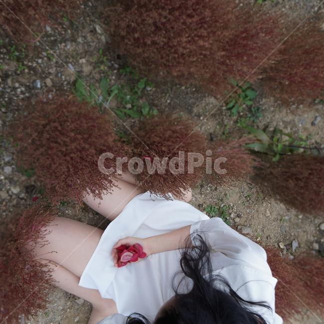 꽃잎,소녀,여자,분위기,girl,female,petal,leaf,낙엽,사람,감성,감성사진,feeling,사람,인물,인간,human,person,여성,여자,woman,female,lady