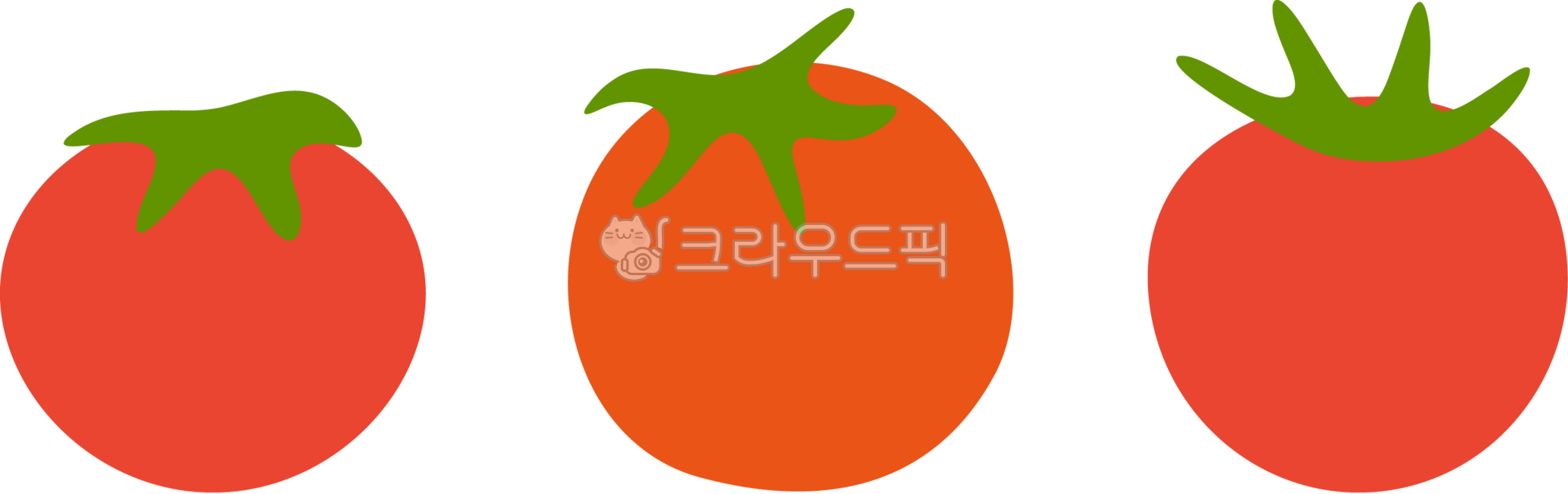 Vegetables,cherry tomatoes,fruits,tomatoes,growing tomatoes,weekend farm,experience farm,gardening,farm,agricultural products,garden experience,farmer,ingredients,vegetables