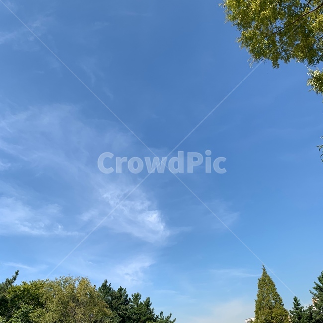 하늘,구름,공원,나무,산책,sky,cloud,park,tree,weather,날씨,nature,자연,outdoors,옥외