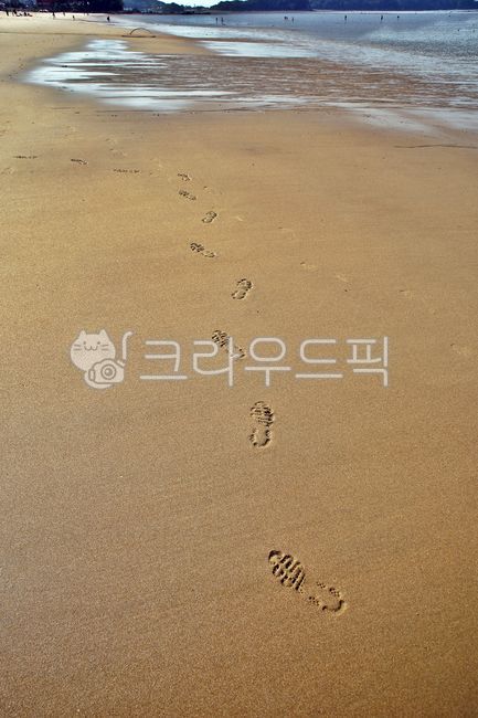 발자국,해변,족적,방아머리해수욕장,대부도,안산시,바다,모래사장,해변,바다,beach,sea