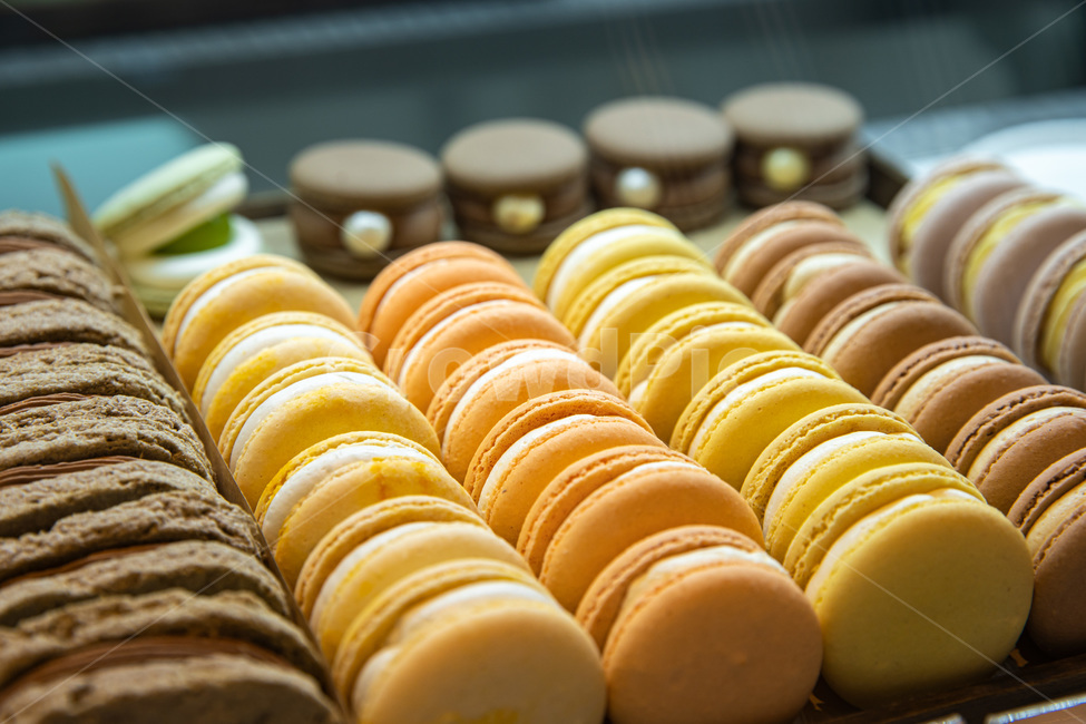 macaron,마카롱,간식,쿠키,디저트,케이크,프랑스디저트,과자,snack,color,설탕,사탕,음식,food,meal,dessert,음식,식재료,요리,food,cook,meal,dishes,food reserves,디저트,간식,후식,dessert,snack