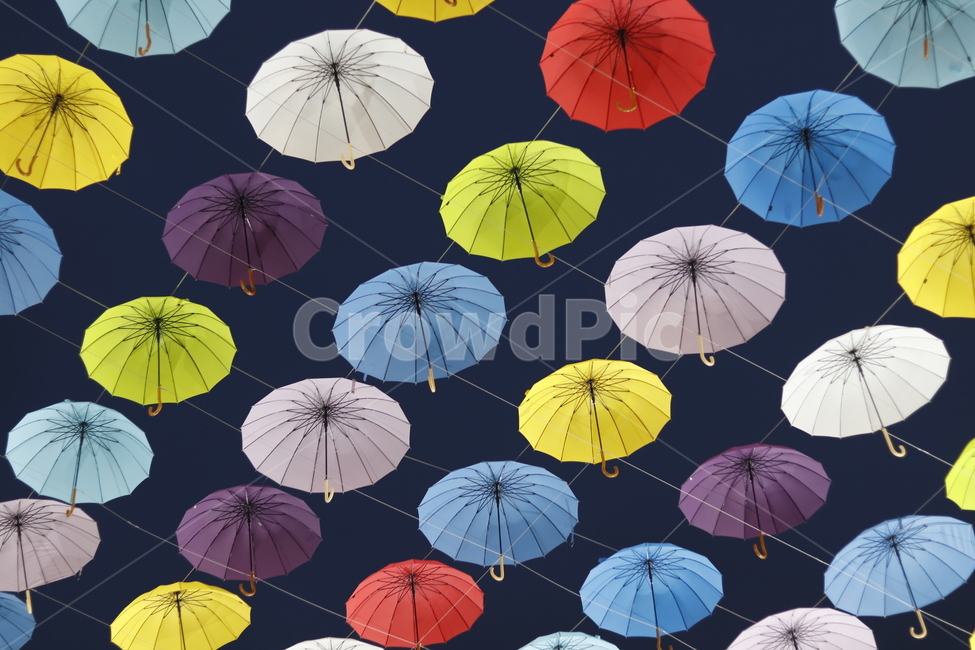 우산,감성,분위기,색감,색채,color,feeling