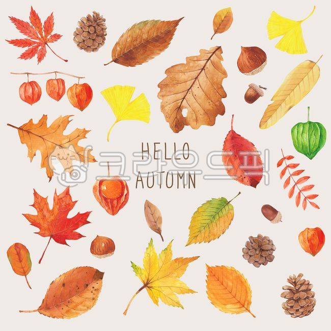 Brown,Frame,Illustration,Colorful,Botanical,Fallen Leaves,Dry,pine cones,Fall Leaves,Leaves,Plant,Ginkgo Leaf,fall,Tree,Season,chestnuts,Handmade,Maple,Nature,Pattern,Maple Leaf,Autumn,Background,acorns,watercolor,maple,ginkgo,illustration,autumn,Watercol