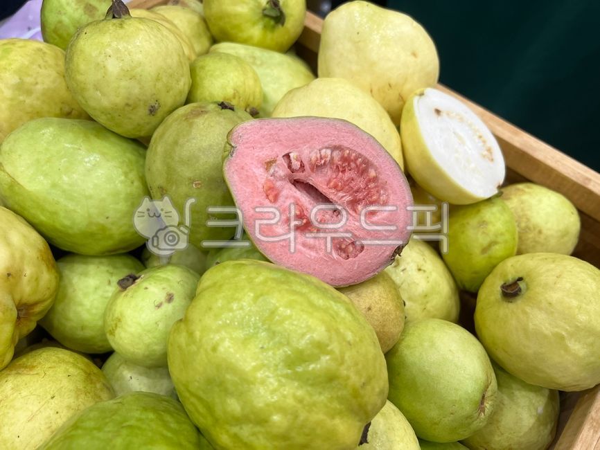 fruit,과일,guava,구아바,열대과일