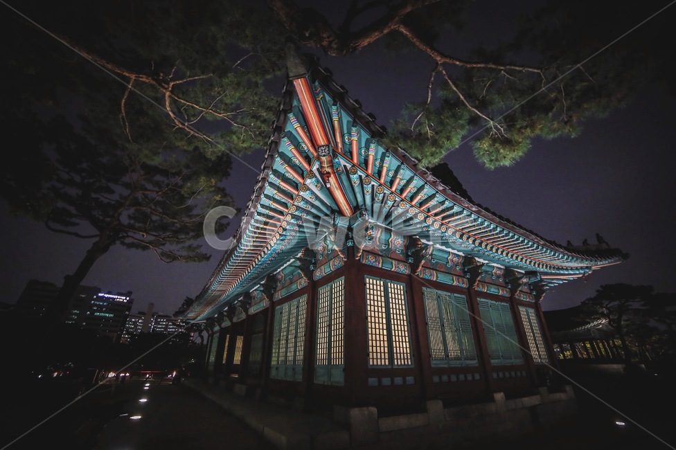 서울,창경궁,건축물,건물,architecture,야경,밤,풍경,nightscape,night,landscape,한국전통,한국문화,korean traditional,korean culture,랜드마크,landmark,tourist attraction,한국랜드마크,한국관광지,한국명소,korea landmark,korea tourist attraction,건축물,건물외관,exterior,building,structure,architecture,construction